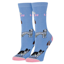 Load image into Gallery viewer, Dog Lover Socks - Womens
